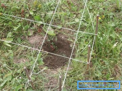 Die Konturen der zukünftigen Struktur skizzieren wir mit einem String Die Konturen der zukünftigen Struktur skizzieren wir mit einem String