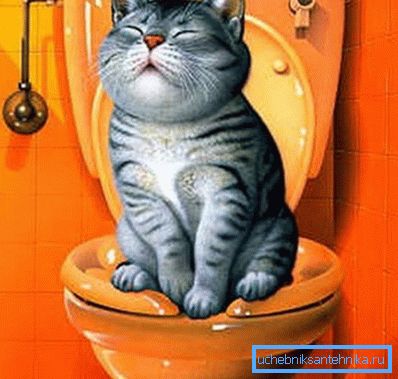 Glückliche Katze Glückliche Katze
