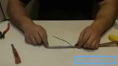 Der Bildschirm faltet Flagellum Der Bildschirm faltet Flagellum