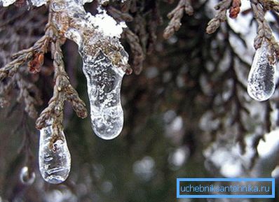 Wenn die Nachttemperatur unter null sinkt, schalten Sie die Heizung vorzeitig aus Wenn die Nachttemperatur unter null sinkt, schalten Sie die Heizung vorzeitig aus