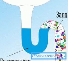 Die Wasserschleuse verhindert, dass Abwasserdämpfe die Raumluft vergiften. Die Wasserschleuse verhindert, dass Abwasserdämpfe die Raumluft vergiften.