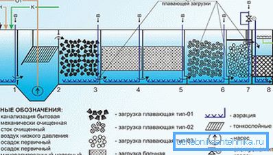 1183 Tiefe biologische Reinigung