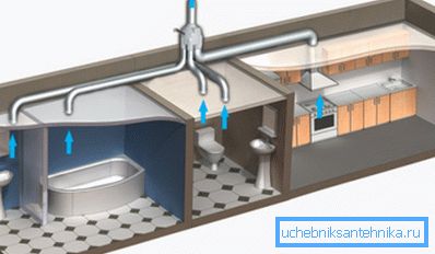 Grafische Darstellung der Belüftungsplatzierung mit Steigleitung auf Toilettenebene Grafische Darstellung der Belüftungsplatzierung mit Steigleitung auf Toilettenebene