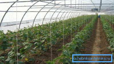 Das verwendete Heizsystem wird nach der Fläche der agrotechnischen Struktur ausgewählt. Das verwendete Heizsystem wird nach der Fläche der agrotechnischen Struktur ausgewählt.
