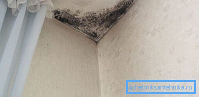 Aufgrund schlechter Belüftung beginnt Schimmel Aufgrund schlechter Belüftung beginnt Schimmel