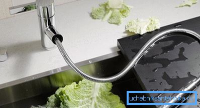 Die Gießkanne für die Küchenarmatur ist äußerst funktional. Die Gießkanne für die Küchenarmatur ist äußerst funktional.