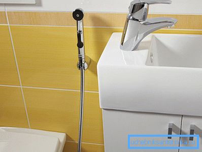 Gießkanne mit einem kleinen Waschbecken Gießkanne mit einem kleinen Waschbecken