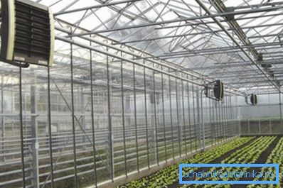 Im Foto - elektrische Heizkörper im Gewächshaus installiert Im Foto - elektrische Heizkörper im Gewächshaus installiert