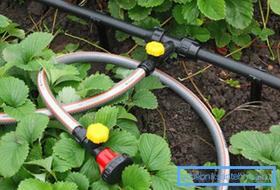 Auf dem Foto: Rohre für die Sommerinstallation müssen vielfältige Anforderungen erfüllen. Auf dem Foto: Rohre für die Sommerinstallation müssen vielfältige Anforderungen erfüllen.