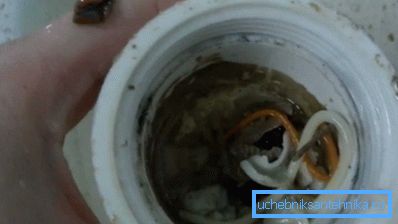 Das Foto zeigt einen verstopften Siphon. Das Foto zeigt einen verstopften Siphon.