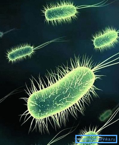 Das Vorhandensein von Bakterien im Trinkwasser kann zu schweren Erkrankungen führen. Das Vorhandensein von Bakterien im Trinkwasser kann zu schweren Erkrankungen führen.