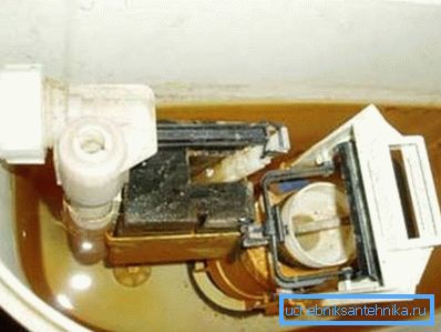 Sie wissen nicht, wie Sie die Toilettenschüssel im Inneren reinigen? Füllen Sie es mit 4 Liter warmem Wasser und Pulver, lassen Sie es eine Weile stehen und lassen Sie es durch die Toilette ab. Sie wissen nicht, wie Sie die Toilettenschüssel im Inneren reinigen? Füllen Sie es mit 4 Liter warmem Wasser und Pulver, lassen Sie es eine Weile stehen und lassen Sie es durch die Toilette ab.