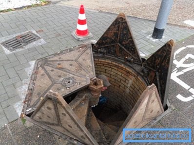 Ungewöhnliche Flügelabdeckung Ungewöhnliche Flügelabdeckung