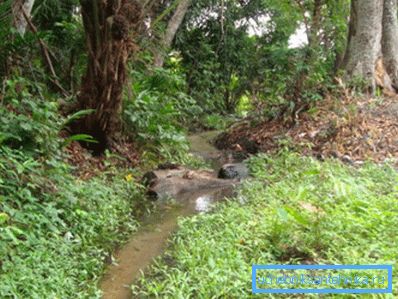 Trotz der scheinbaren Nähe zum Wasser lohnt es sich nicht, in diesem Tiefland zu bohren. Trotz der scheinbaren Nähe zum Wasser lohnt es sich nicht, in diesem Tiefland zu bohren.