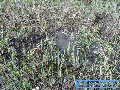 1200 Der Boden nimmt kein Wasser auf