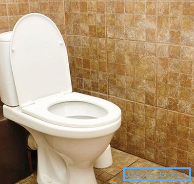 Angeschlossene und gebrauchsfertige Toilette Angeschlossene und gebrauchsfertige Toilette