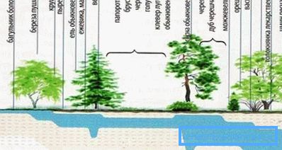 Die Suche nach einem Platz für einen Brunnen kann von der Natur selbst unterstützt werden (siehe Beschreibung im Text) Die Suche nach einem Platz für einen Brunnen kann von der Natur selbst unterstützt werden (siehe Beschreibung im Text)