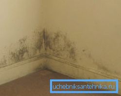 Die Folgen einer unzureichenden Belüftung im Haus Die Folgen einer unzureichenden Belüftung im Haus
