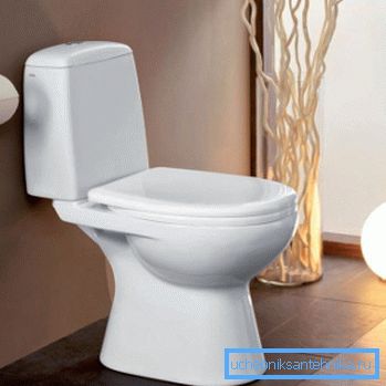 Die richtige Wahl der Toilettenschüssel erleichtert den Arbeitsablauf erheblich. Die richtige Wahl der Toilettenschüssel erleichtert den Arbeitsablauf erheblich.