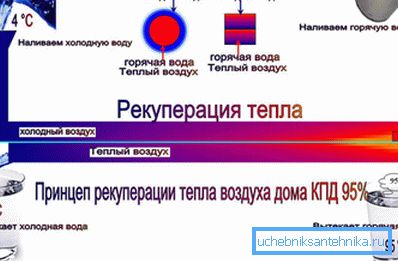 Erholungsprinzip