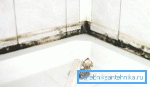 Schimmel in der Dusche verbreiten Schimmel in der Dusche verbreiten