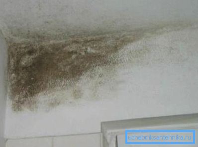 Schimmelpilzvervielfachung ist das Ergebnis einer schlechten Luftzirkulation in der Wohnung. Schimmelpilzvervielfachung ist das Ergebnis einer schlechten Luftzirkulation in der Wohnung.