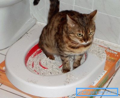 Jeden Tag nimmt die Höhe zu Jeden Tag nimmt die Höhe zu