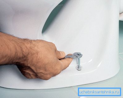 Sanitärschraube mit Kunststoffscheibe und dekorativer Kappe. Sanitärschraube mit Kunststoffscheibe und dekorativer Kappe.