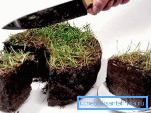 Die Leibeigenschaft erlaubt eine begrenzte Nutzung des Grundstücks des Nachbargrundstücks. Die Leibeigenschaft erlaubt eine begrenzte Nutzung des Grundstücks des Nachbargrundstücks.