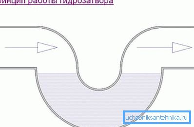 Schematische Darstellung des Siphonprinzips Schematische Darstellung des Siphonprinzips