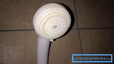 Etablierte Gießkanne mit kleinen Düsen. Etablierte Gießkanne mit kleinen Düsen.
