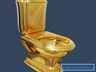 Eine zu teure Toilette auf dem Land sollte nicht installiert werden. Es kann gestohlen werden. Eine zu teure Toilette auf dem Land sollte nicht installiert werden. Es kann gestohlen werden.