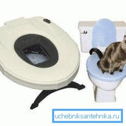 Spezieller Toilettensitz Spezieller Toilettensitz