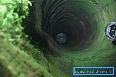 Die Wände der Mine sind mit grünem Moos kontaminiert.