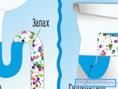 So versiegelt das Wasser im Waschbecken und in der Toilette So versiegelt das Wasser im Waschbecken und in der Toilette