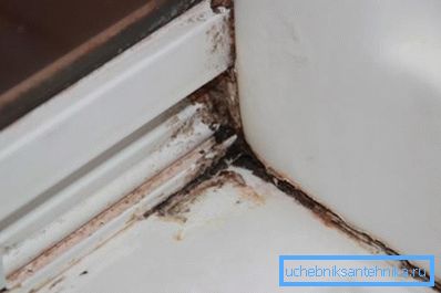Dunkler Pilz in der Dusche Dunkler Pilz in der Dusche