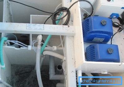 Prüfung des lokalen Abwassersystems Prüfung des lokalen Abwassersystems