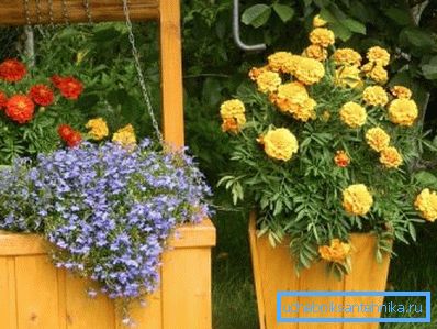 Blumenbeet im Brunnen