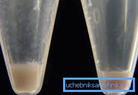 Feste Qualität Granulat in Wasser verwandelte sich in Brei Feste Qualität Granulat in Wasser verwandelte sich in Brei
