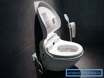 Toilettenschüssel aus dem Land der aufgehenden Sonne Toilettenschüssel aus dem Land der aufgehenden Sonne