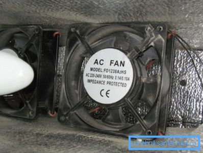 Inkubator-Fans Inkubator-Fans