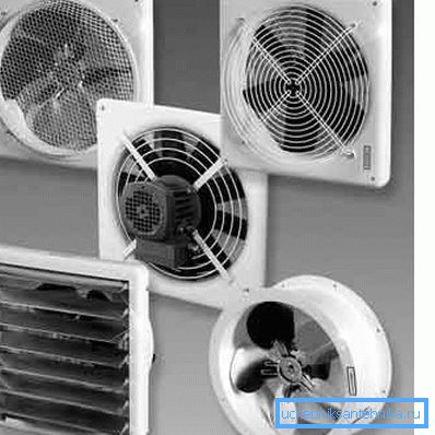 Fans Fans