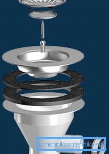 Oberseite des Siphons Oberseite des Siphons