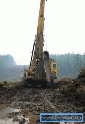 Die Entwicklung des Frühlings wird durch hohe Wasserstände an der Oberfläche und im Boden kompliziert. Die Entwicklung des Frühlings wird durch hohe Wasserstände an der Oberfläche und im Boden kompliziert.
