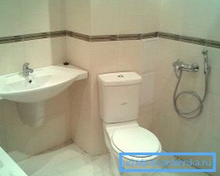 Wählen Sie ein Bidet oder eine hygienische Dusche - konzentrieren Sie sich auf den Badbereich und die Ausstattungskosten